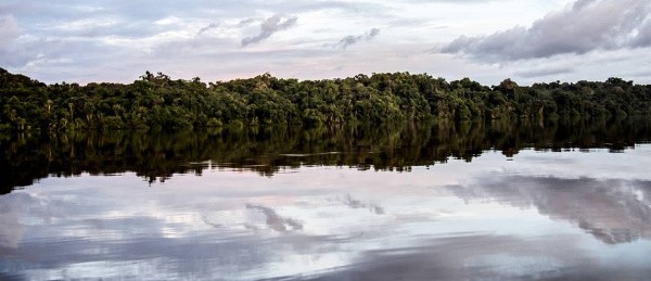 demandan_a_colombia_por_$16.500_millones_de_dolares_al_amparo_del_tlc_con_eeuu,_por_crear_el_parque_nacional_yaigoji_apaporis